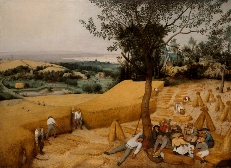 BRUEGEL, Pieter the Elder The Corn Harvest (mk08)